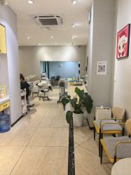 -洗脸猫·洗脸吧