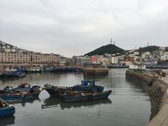 -枸杞岛