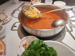 -八合里牛肉火锅(上海世茂广场店)