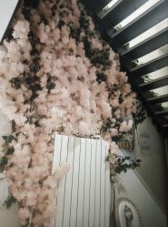 -华臣医疗美容