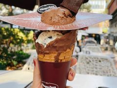 -哈根达斯(武汉天地店)