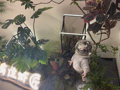 -有位虾匠·香辣蟹·小龙虾(李村店)