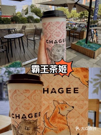 霸王茶姬好可爱的新皮肤