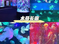 -正佳极地海洋世界