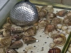 -安东水产海鲜餐厅