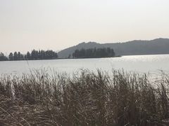 -东湖落雁景区