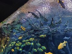 -波塞冬旅游度假区