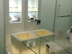 -上海滴水湖皇冠假日酒店