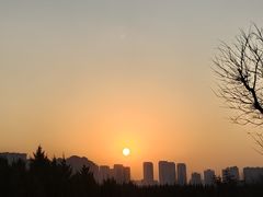 -汉长安城未央宫国家考古遗址公园