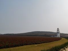 -南京枫彩漫城