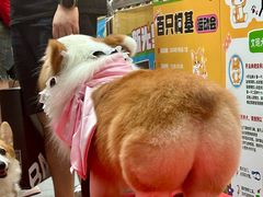 -新光里