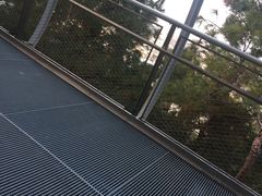 -仙岳公园