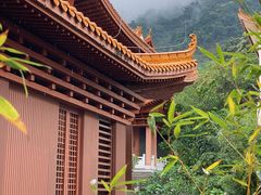 -深圳仙湖植物园