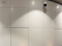 -麦当劳(北京大兴机场二层国内到达(安检外)店)