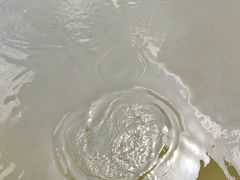 -水绘园