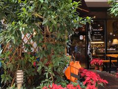 -咖法森林·咖啡  酒吧(天河店)