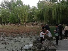 -莲湖公园
