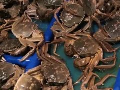 -星伦多自助料理(花山金鹰店)