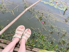 -同銮特种养殖场·龙虾垂钓