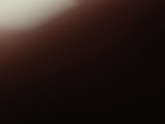 -青年公社烤鸭(蜀山万象汇店)
