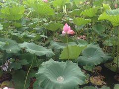 -南戴河国际娱乐中心