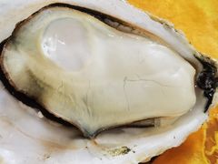 -蚝专家(北滘店)