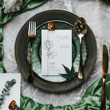 小预算也能很精致🌿🌿清新脱俗的白绿色婚礼