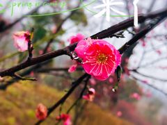 -宜兴龙背山森林公园