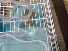 -宠爱我(南山店)