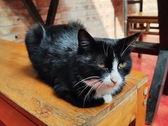 -新疆狼爷烤肉(宋庄店)