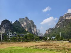 -明仕田园