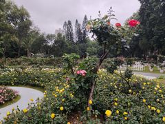 -人民公园(罗湖区)