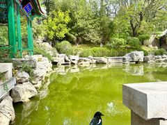 -北京颐和宾馆