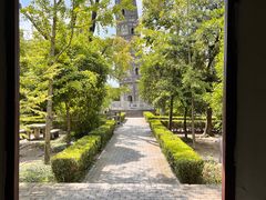 -上海佘山国家森林公园天马山园