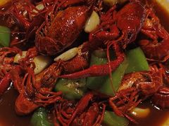 -杨氏青龙虾·羊蝎子(托乐嘉店)