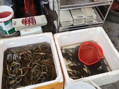 -铜元老码头鳝鱼火锅