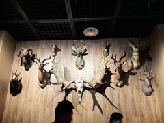 -陕西自然博物馆