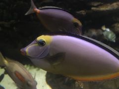 -南昌融创海世界
