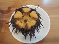 -海胆小馆(东北水饺·春柳店)