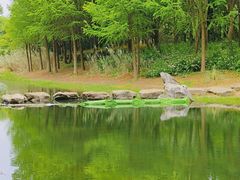 -贡湖湾湿地公园