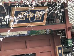 -桃花堤公园