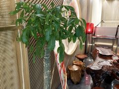-普天和酒楼·新津菜·烤鸭(天津之眼店)
