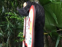 -河川生态园