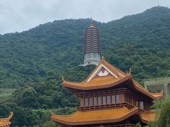 -深圳仙湖植物园