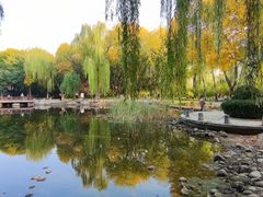 -玲珑塔公园