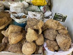 -大象粑粑造纸公园