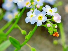 -白草畔自然风景区