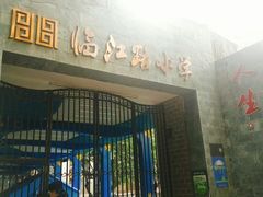 -临江路小学