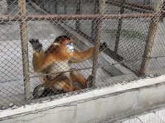 -哈尔滨北方森林动物园