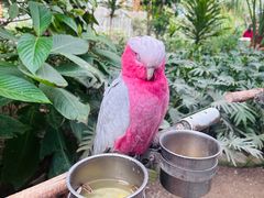 -南宫五洲植物乐园